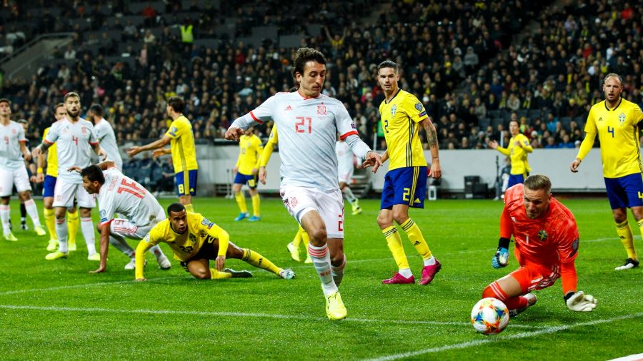 sweden_v_spain_-euro_qualifier_1.jpg